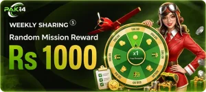 14PAK APK Download (Official 2026 Real Earning App) 2