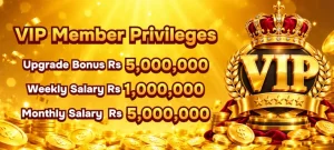 8555 bet APK Download Official Real Money Casino Pakistan 1