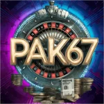 PAK 67 game logo