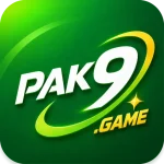 PAK9 Game Earn Real Money in Pakistan LOGO