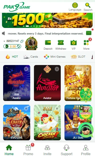 PAK9 Game
