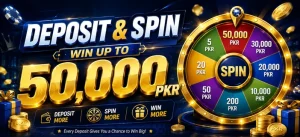 VIPPAK APK Download Latest Version 2026 Real Earning App 3